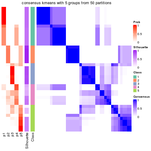 plot of chunk tab-node-014-consensus-heatmap-4