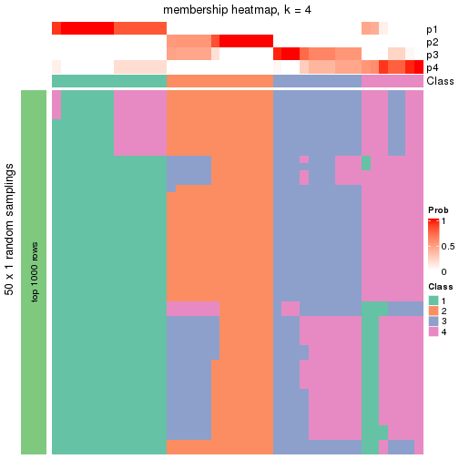 plot of chunk tab-node-014-membership-heatmap-3