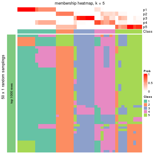 plot of chunk tab-node-014-membership-heatmap-4