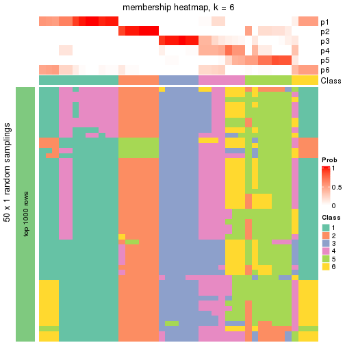 plot of chunk tab-node-014-membership-heatmap-5