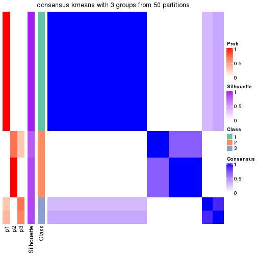 plot of chunk tab-node-0141-consensus-heatmap-2