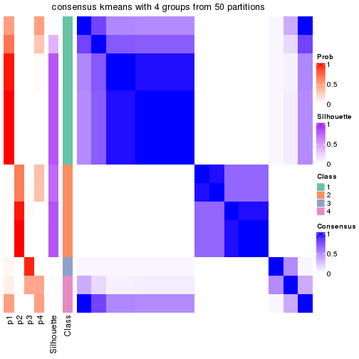 plot of chunk tab-node-0141-consensus-heatmap-3