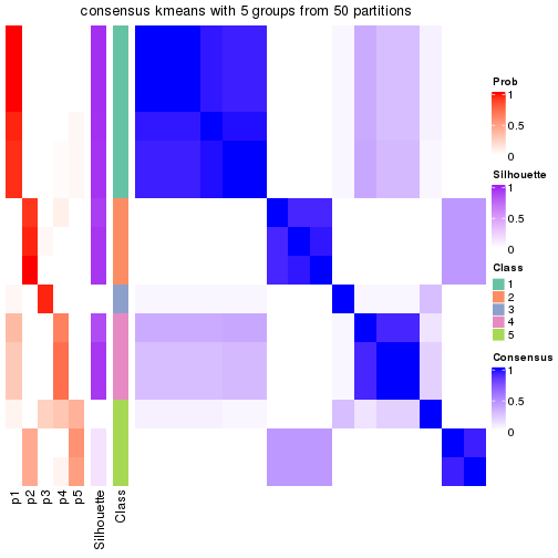 plot of chunk tab-node-0141-consensus-heatmap-4