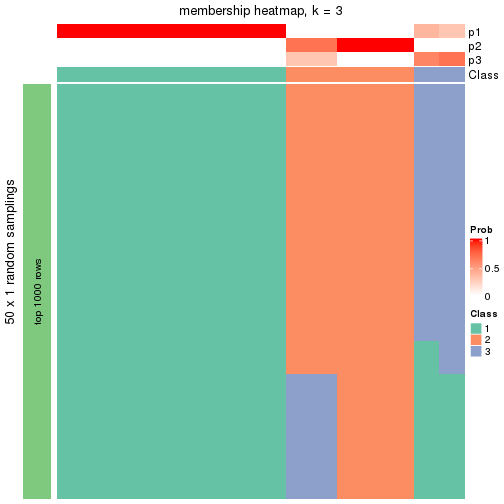 plot of chunk tab-node-0141-membership-heatmap-2