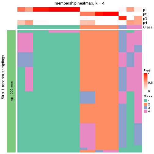 plot of chunk tab-node-0141-membership-heatmap-3