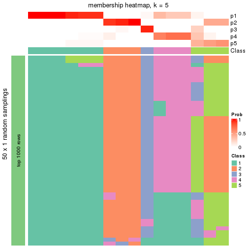 plot of chunk tab-node-0141-membership-heatmap-4