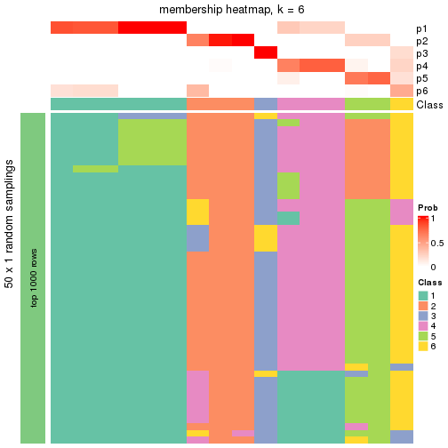 plot of chunk tab-node-0141-membership-heatmap-5