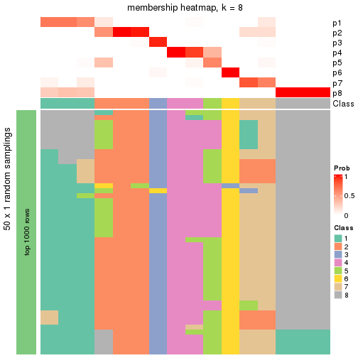 plot of chunk tab-node-0141-membership-heatmap-7