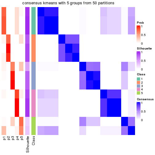 plot of chunk tab-node-0143-consensus-heatmap-4