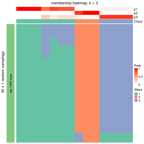 plot of chunk tab-node-0143-membership-heatmap-2