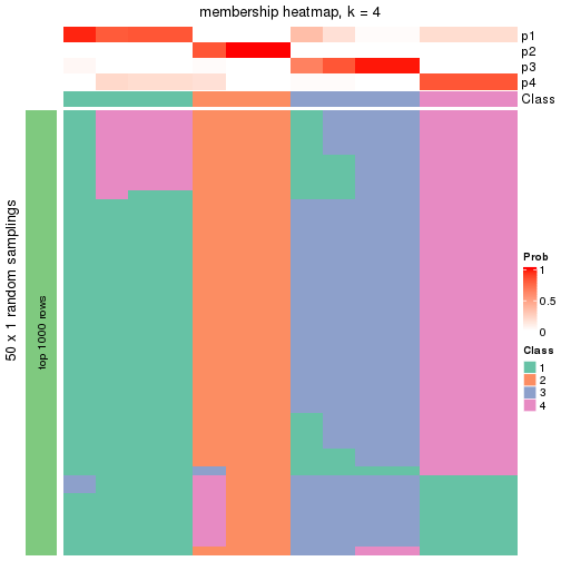 plot of chunk tab-node-0143-membership-heatmap-3