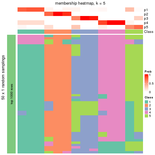 plot of chunk tab-node-0143-membership-heatmap-4