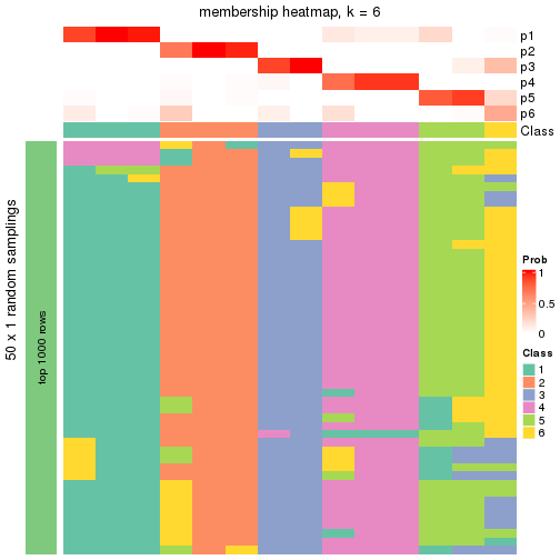 plot of chunk tab-node-0143-membership-heatmap-5