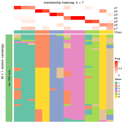 plot of chunk tab-node-0143-membership-heatmap-6