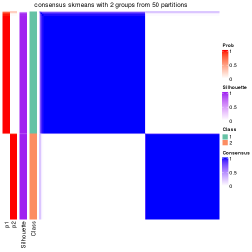 plot of chunk tab-node-02-consensus-heatmap-1