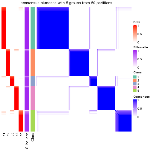 plot of chunk tab-node-02-consensus-heatmap-4