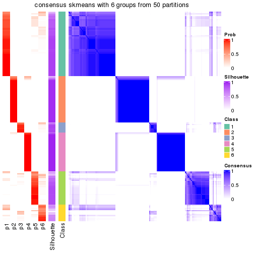 plot of chunk tab-node-02-consensus-heatmap-5