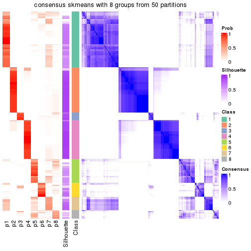 plot of chunk tab-node-02-consensus-heatmap-7