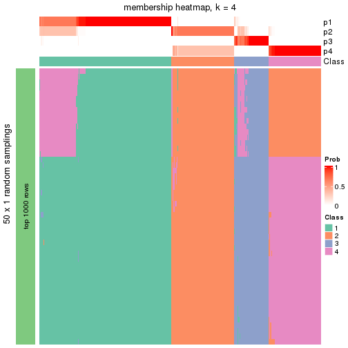 plot of chunk tab-node-02-membership-heatmap-3