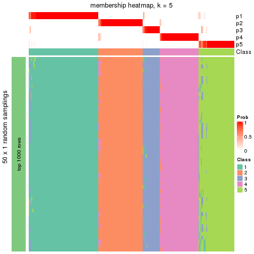 plot of chunk tab-node-02-membership-heatmap-4