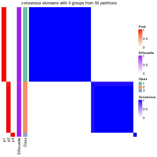 plot of chunk tab-node-021-consensus-heatmap-2