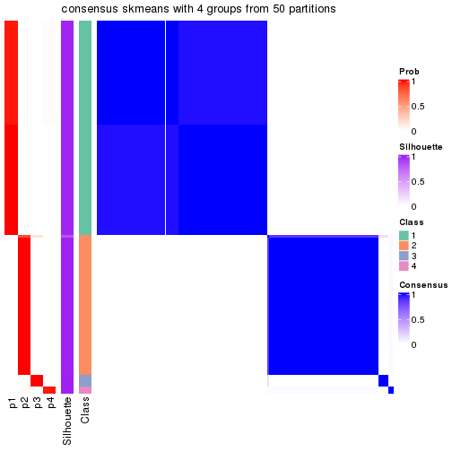 plot of chunk tab-node-021-consensus-heatmap-3