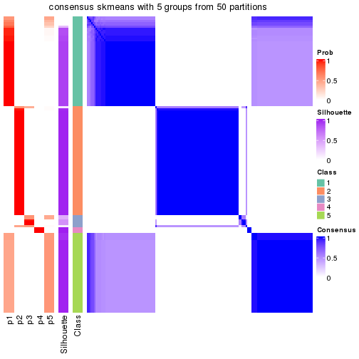 plot of chunk tab-node-021-consensus-heatmap-4