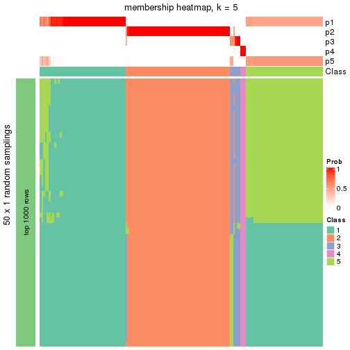 plot of chunk tab-node-021-membership-heatmap-4