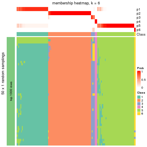 plot of chunk tab-node-021-membership-heatmap-5