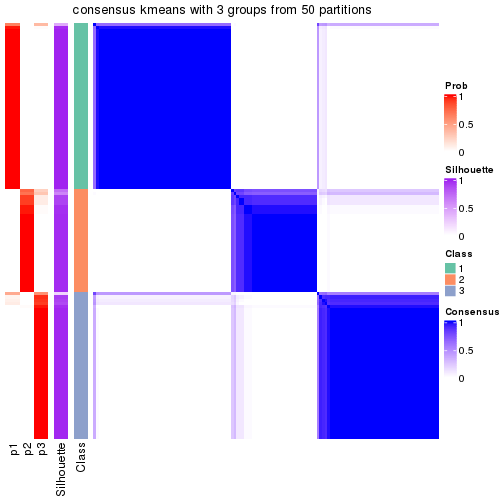 plot of chunk tab-node-022-consensus-heatmap-2