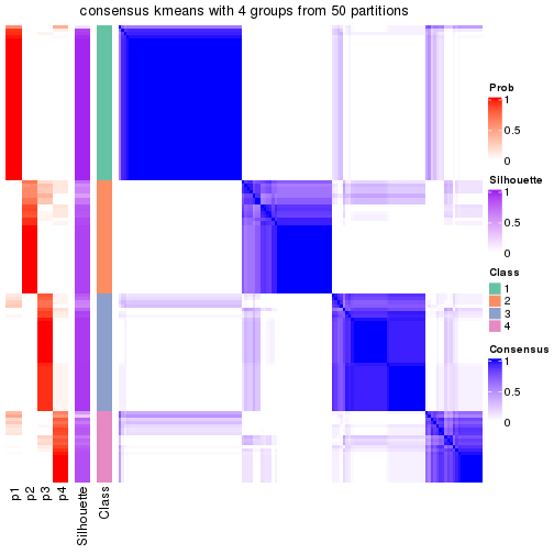 plot of chunk tab-node-022-consensus-heatmap-3