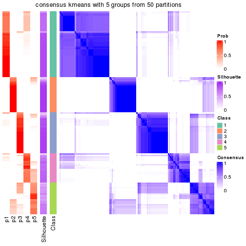 plot of chunk tab-node-022-consensus-heatmap-4