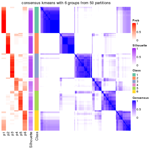 plot of chunk tab-node-022-consensus-heatmap-5