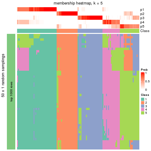 plot of chunk tab-node-022-membership-heatmap-4