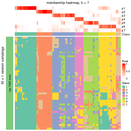 plot of chunk tab-node-022-membership-heatmap-6