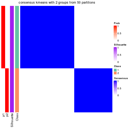 plot of chunk tab-node-0221-consensus-heatmap-1