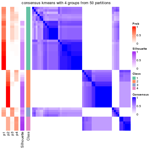 plot of chunk tab-node-0221-consensus-heatmap-3