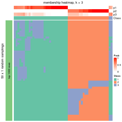 plot of chunk tab-node-0221-membership-heatmap-2