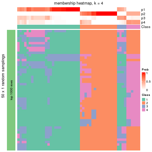 plot of chunk tab-node-0221-membership-heatmap-3