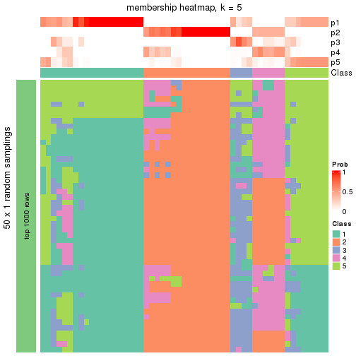 plot of chunk tab-node-0221-membership-heatmap-4