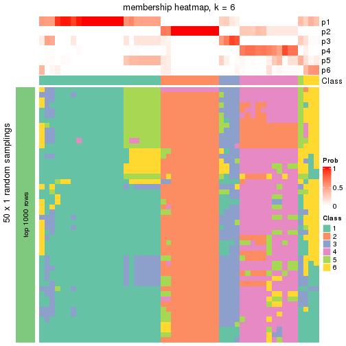 plot of chunk tab-node-0221-membership-heatmap-5