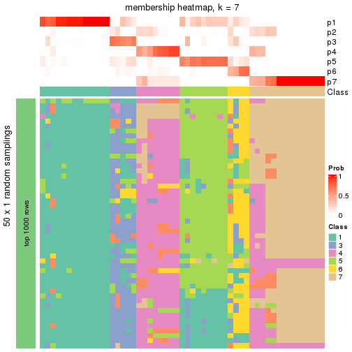 plot of chunk tab-node-0221-membership-heatmap-6