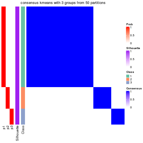 plot of chunk tab-node-02212-consensus-heatmap-2