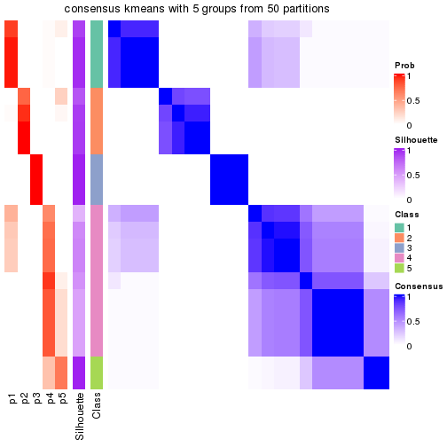 plot of chunk tab-node-02212-consensus-heatmap-4