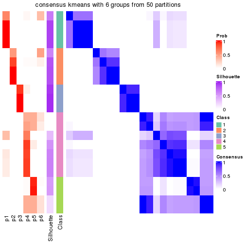 plot of chunk tab-node-02212-consensus-heatmap-5