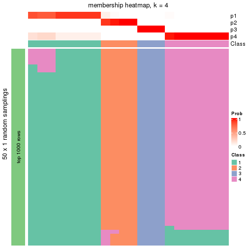 plot of chunk tab-node-02212-membership-heatmap-3