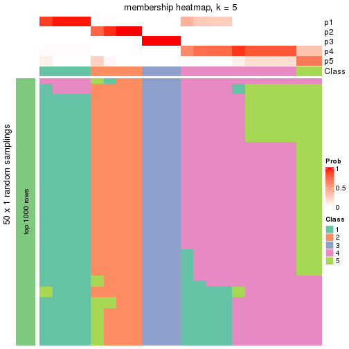 plot of chunk tab-node-02212-membership-heatmap-4