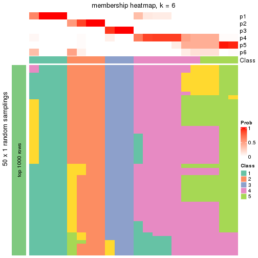 plot of chunk tab-node-02212-membership-heatmap-5