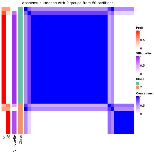 plot of chunk tab-node-0222-consensus-heatmap-1