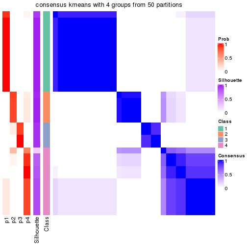 plot of chunk tab-node-0222-consensus-heatmap-3